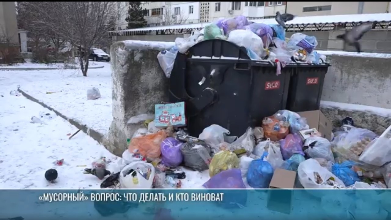 «Мусорный» вопрос: что делать и кто виноват