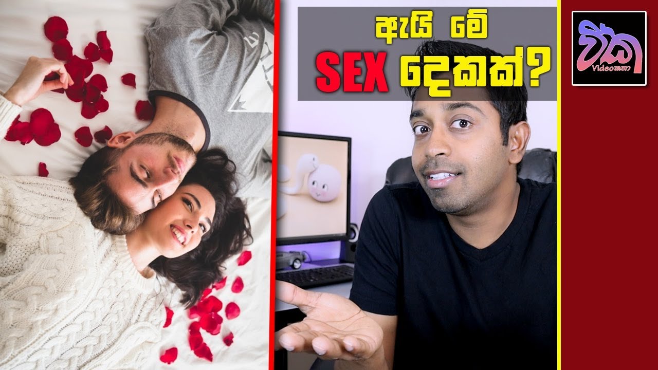 Why are there two sexes?