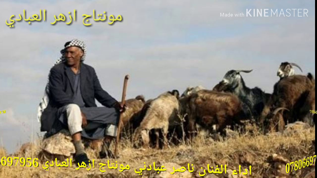 موال ونين يهد باب الگلب للمجروحين (ناصر عبادني ماحن)