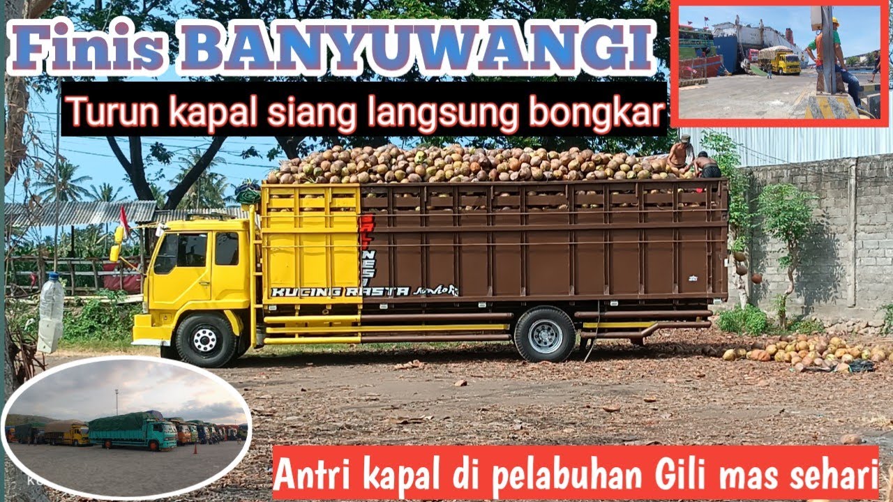 Finis BANYUWANGI ‼️Turun kapal siang langsung bongkar
