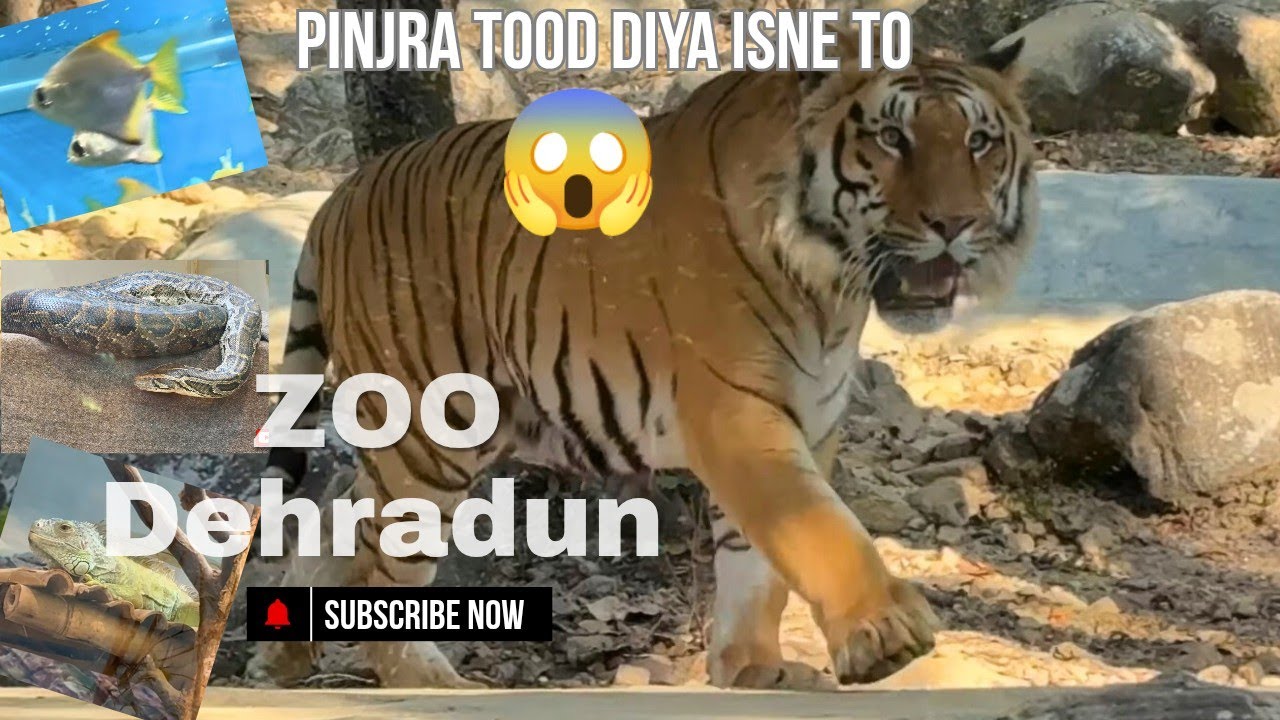 Dehradun Zoo | Zoo Dehradun | 