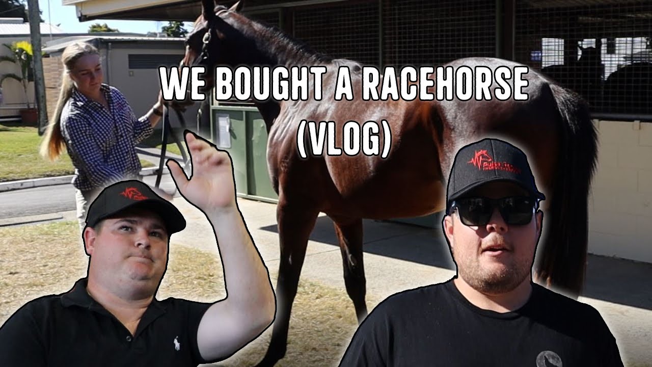 We Bought a Racehorse (VLOG)