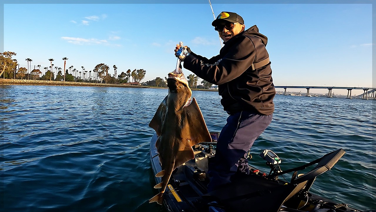 BABY ANGELSHARKS!! - Alabama Rig Fishing - Kayak Fishing San Diego - Halibut, Bay Bass & MORE!