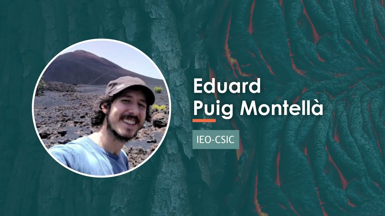 Tagoro submarine landslides and tsunamis, Eduard Puig, IV International vulcana Symposium