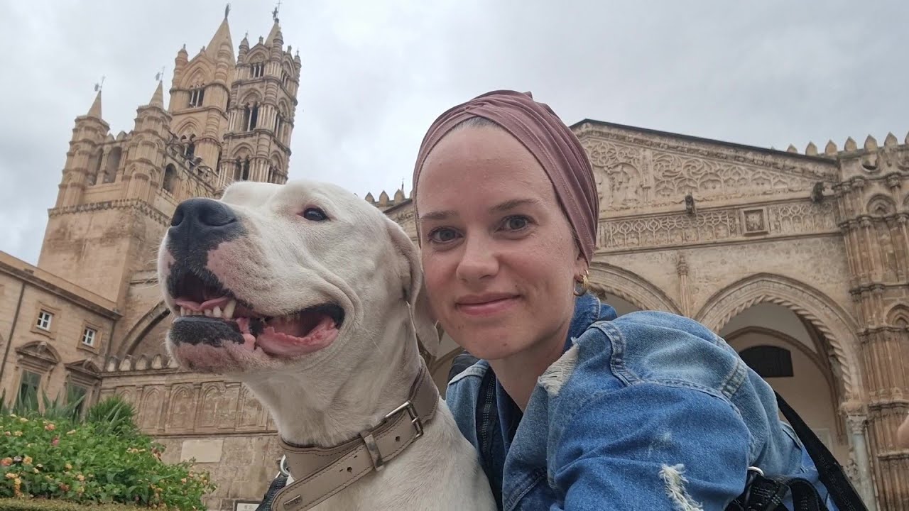 A Day in The Life |  PALERMO |  The day didn't end as planned | Solo Van Life with a Dogo Argentino