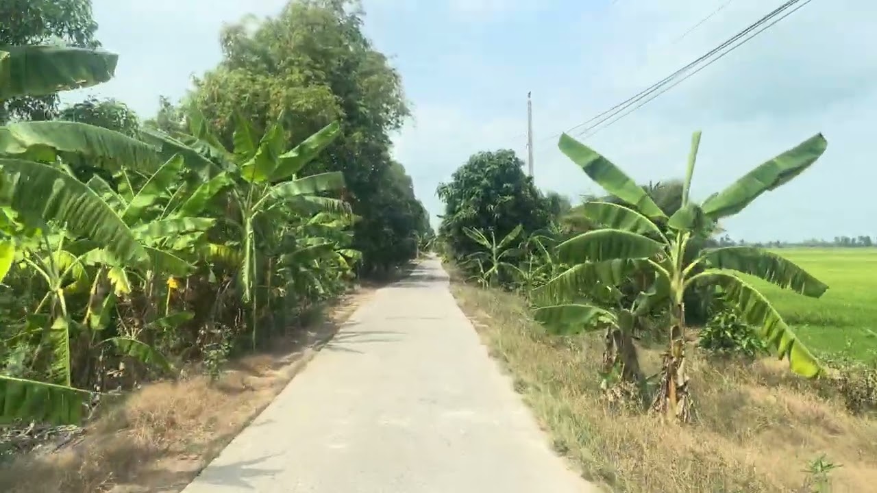 Đuong quê đổi mới