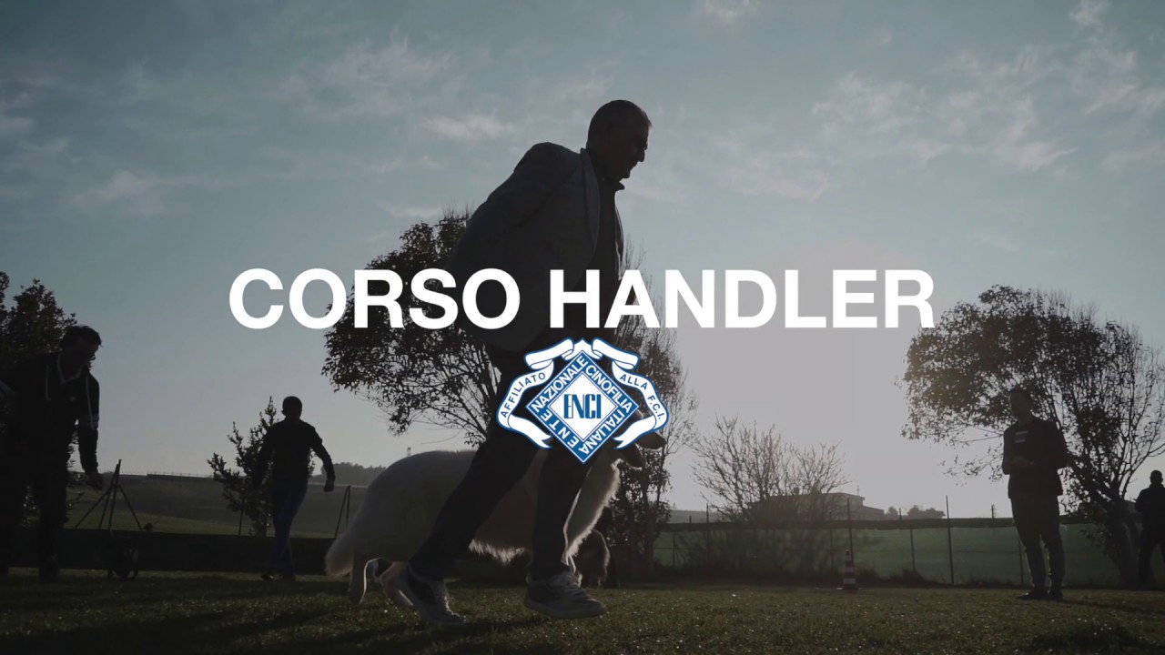 IL REGNO DEL CANE - Corso Handler ENCI