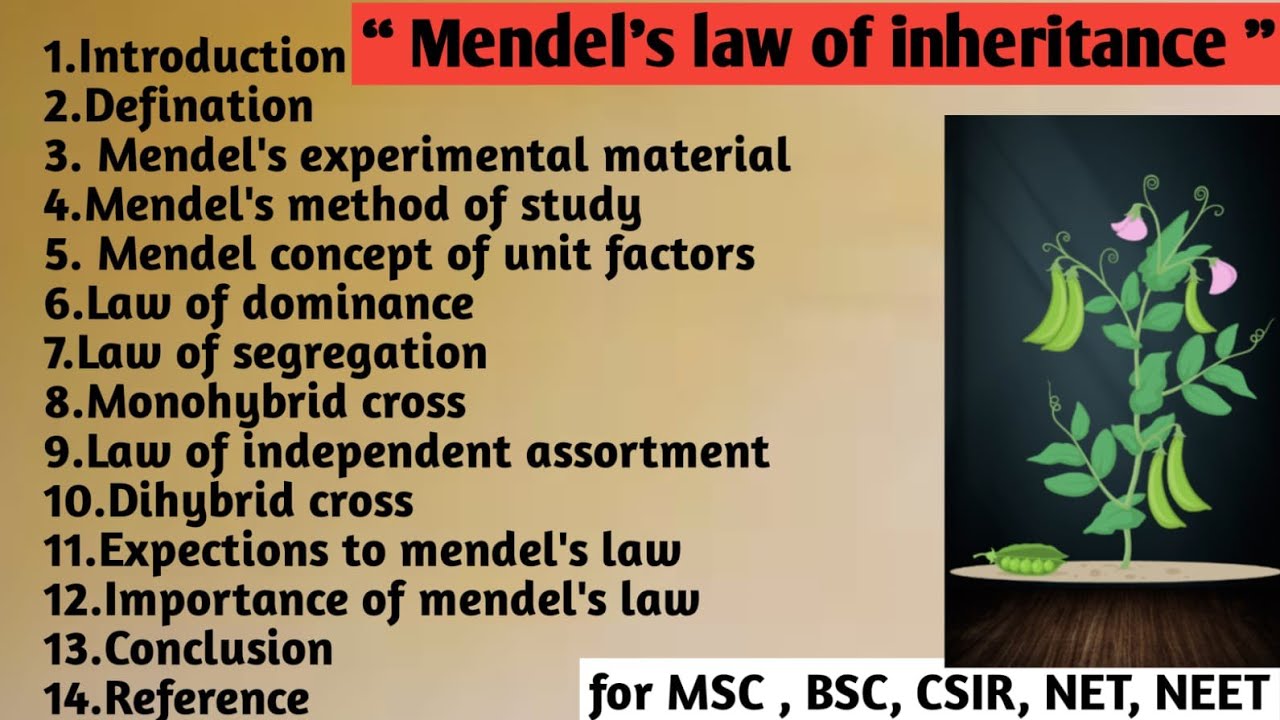 Mendal's law of inheritance | Method of study | Concept | Monohybrid dihybrid cross | Importance 