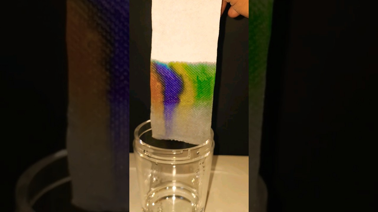 paper chromatography chemistry experiment #chemistry #shorts #experiment