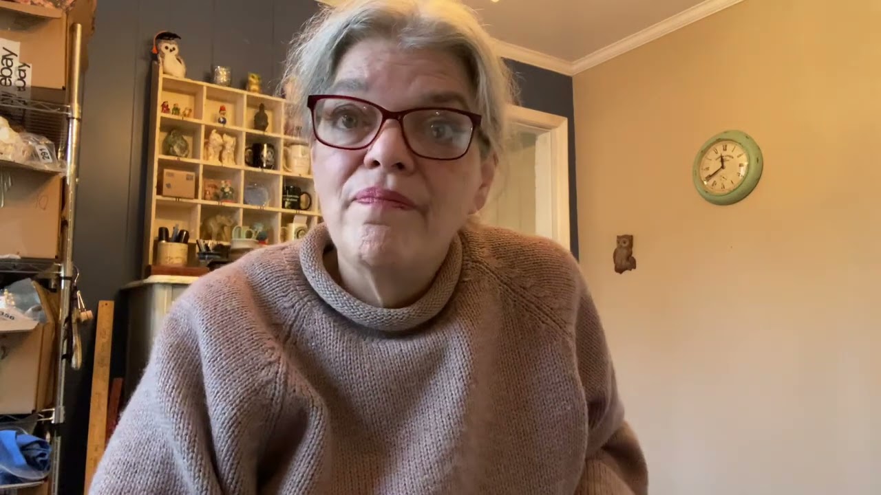 We Used Pods For Moving and Here Is My Review...We Had One Major Problem! March 1, 2024