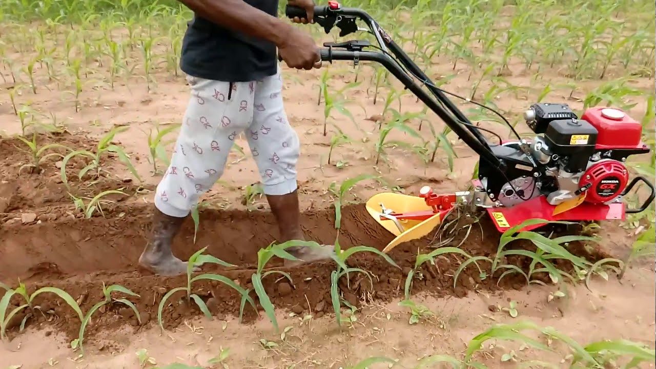 HONDA MINI WEEDER F300 3H.P IN MAIZE CULTIVATION