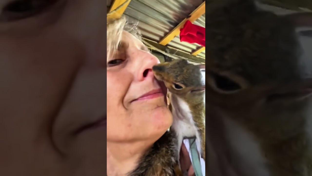 Heartwarming Rescues... #animals #wildliferescue #rescue #heartwarming #lovestory #animalrescue