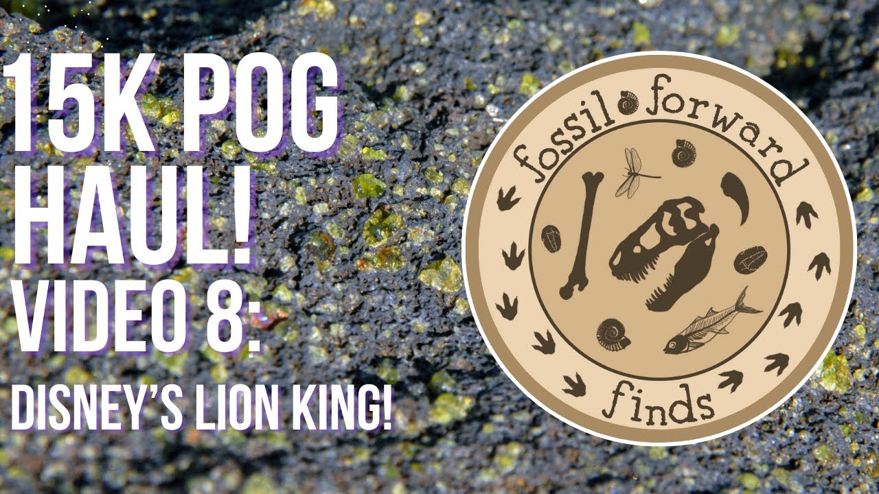 Disney's Lion King POGs Deep Dive!    15,000 POG Haul