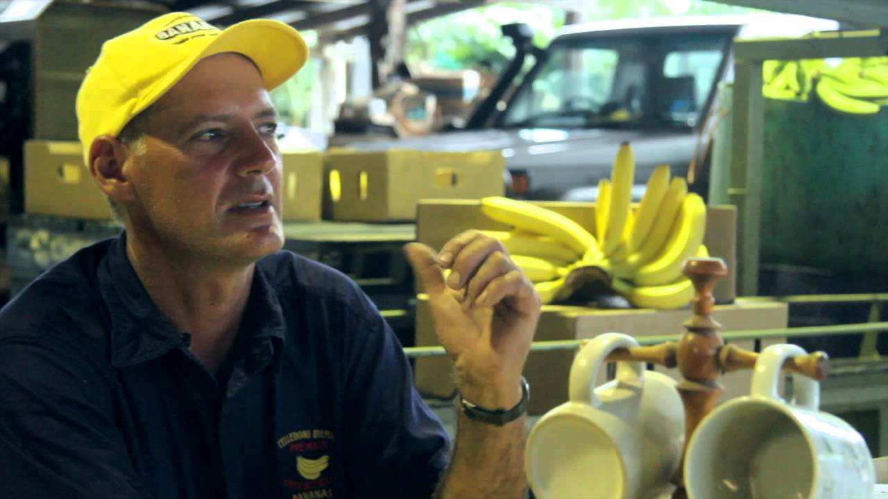 Australian Banana Grower Grahame Celledoni from Innisfail, Queensland