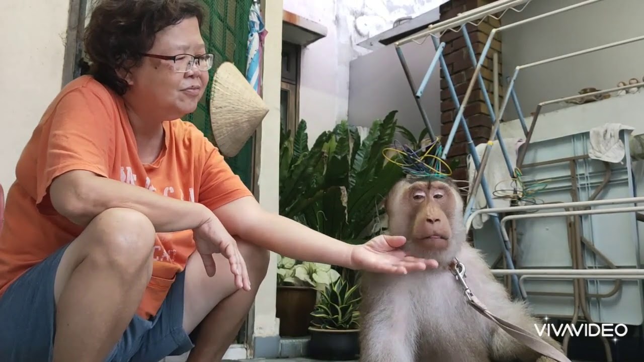 Jk Break Sister Yoke Har Flower pot