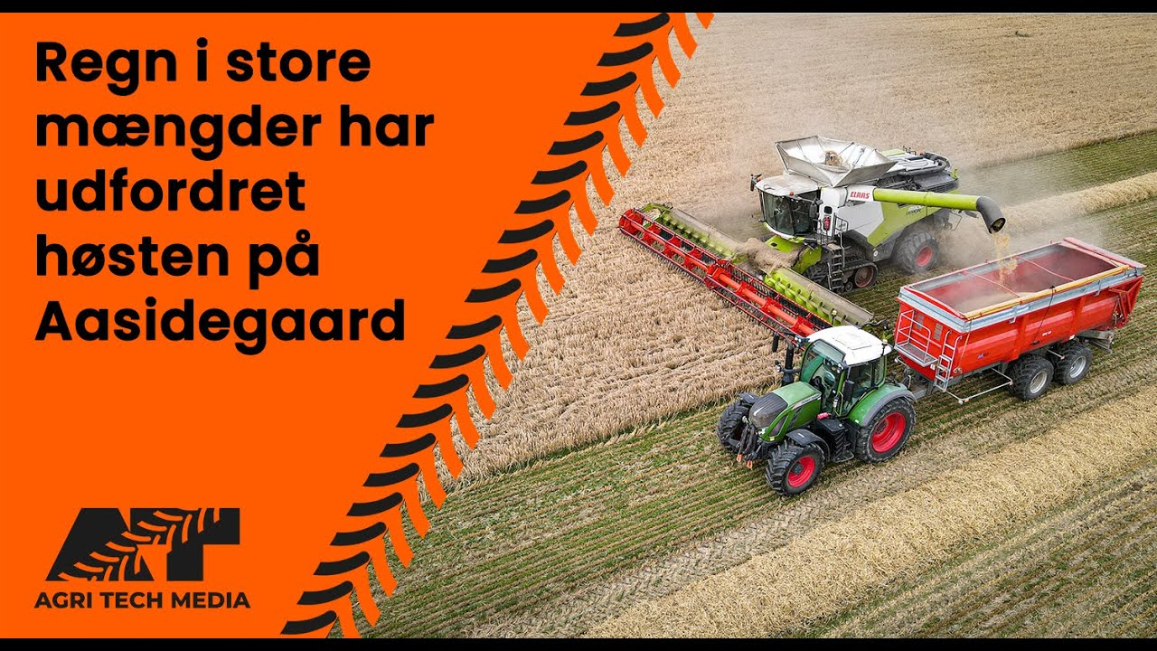 🇩🇰 Regn i store mængder har udfordret høsten på Aasidegaard