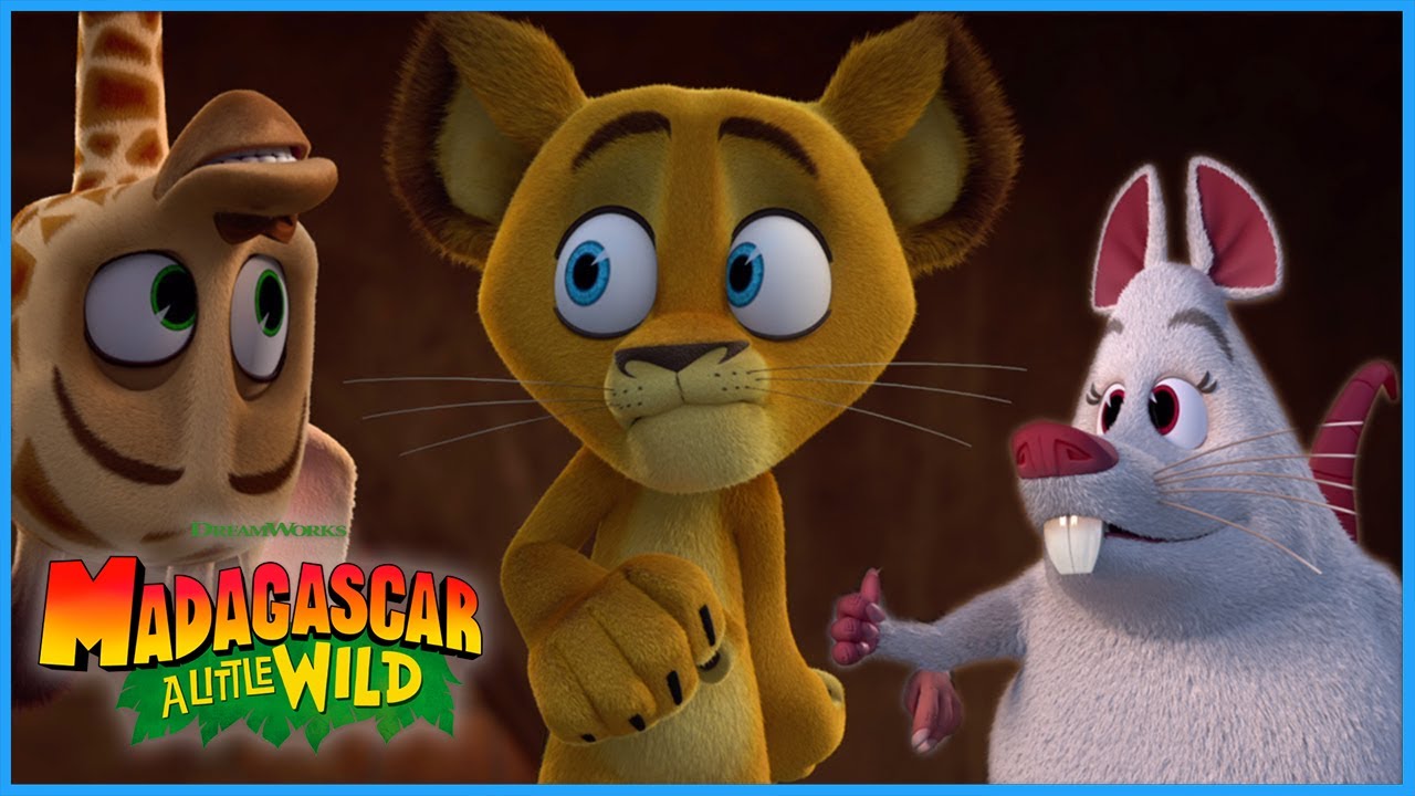 A Little Wild, A Lot Of Rats! 🐀 | DreamWorks Madagascar