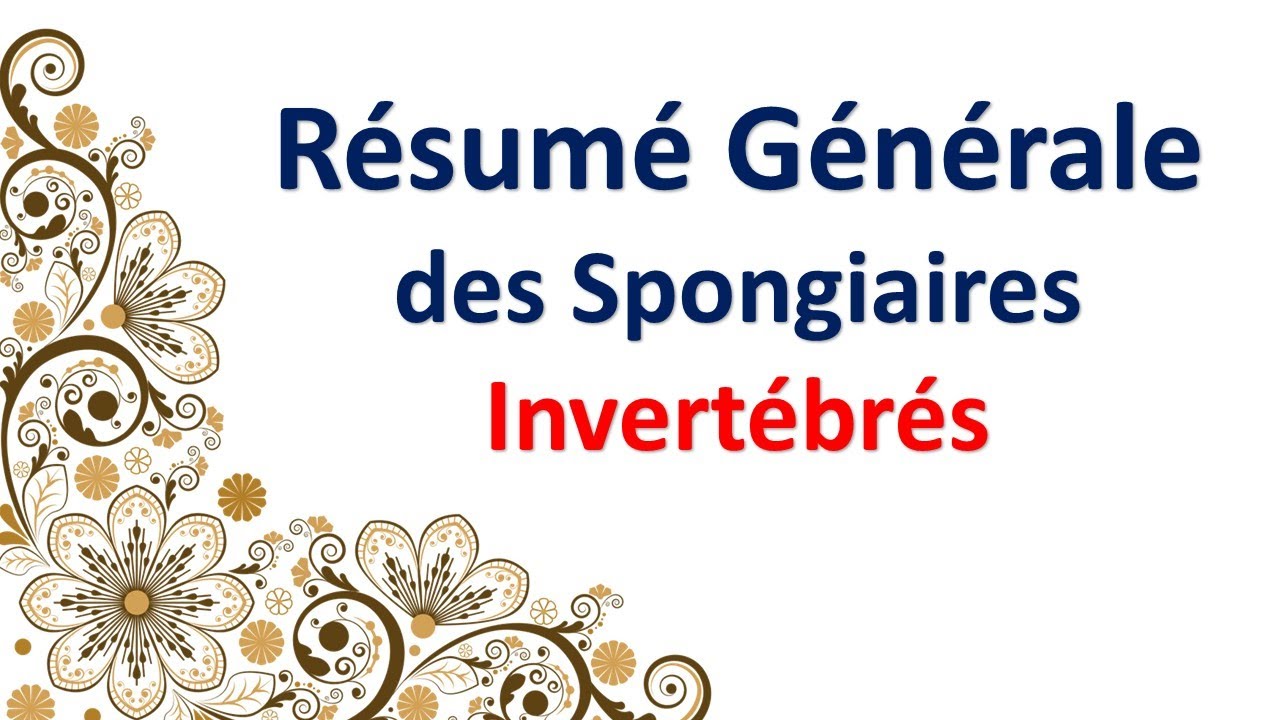 Résumé Générale Biologie Animale Partie des Invertébrés : Les Spongiaires