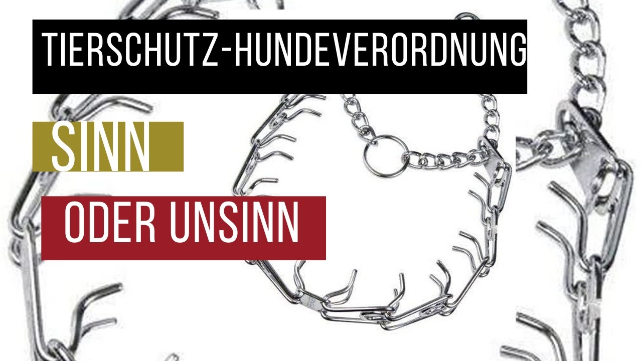 Tierschutz Hundeverordnung ab 1.1.22 - Sinn oder Bl&ouml;dsinn