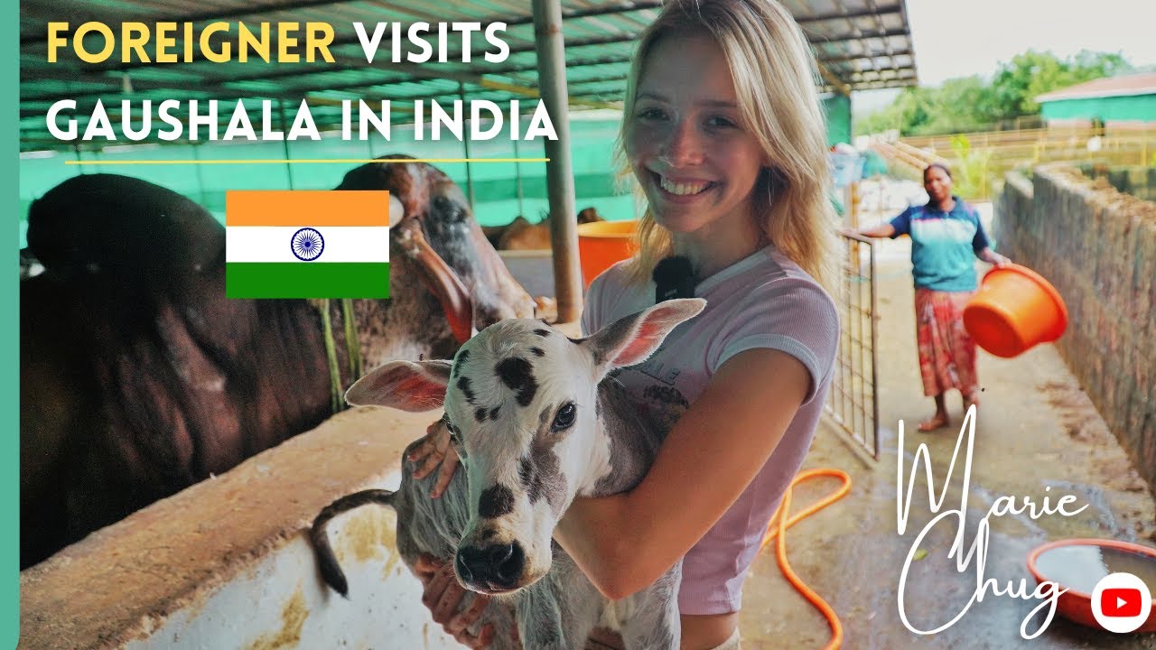 I visited a Gaushala in India and here's what I learn't | Save cows | Gaumata ki Jai 🇮🇳🐮🐄