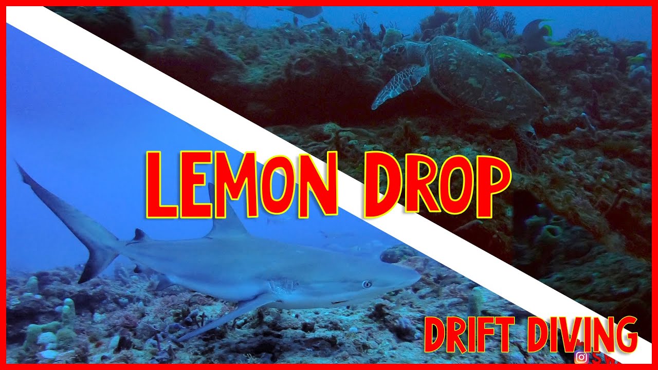 Drift Diving Capitol of Florida West Palm Beach | Scuba Dive