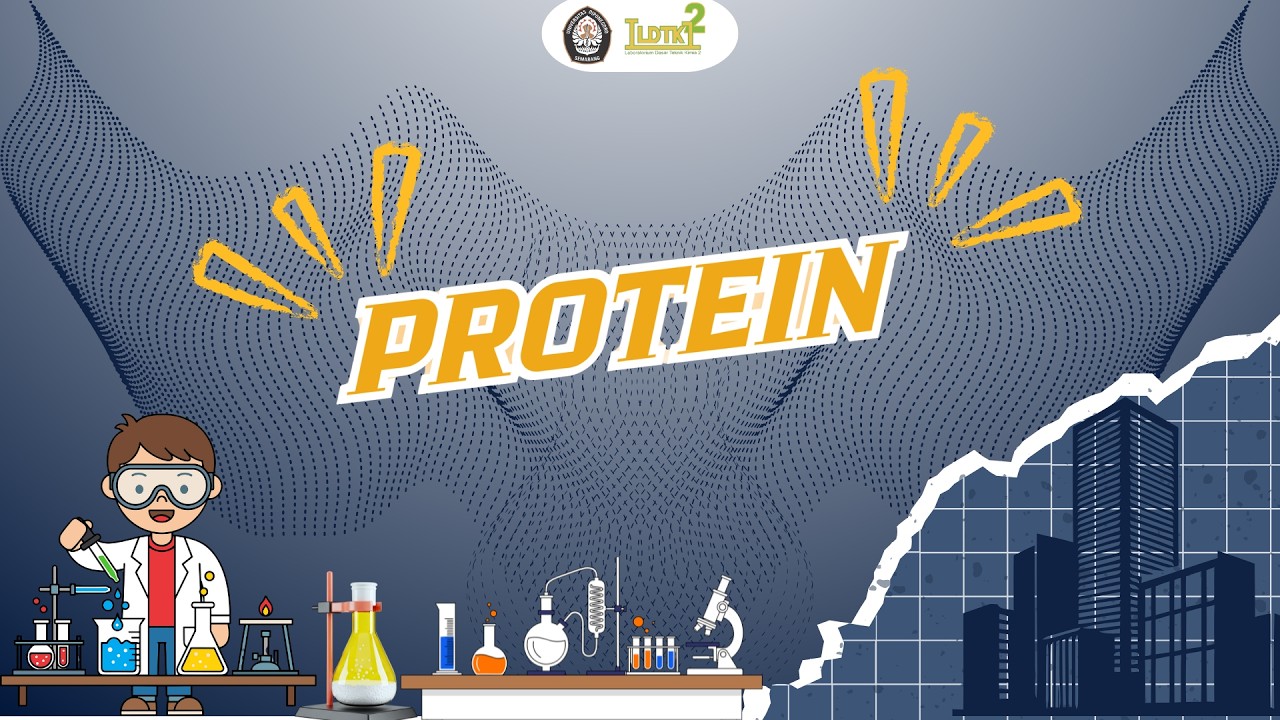PROTEIN - LDTK 2 UNDIP