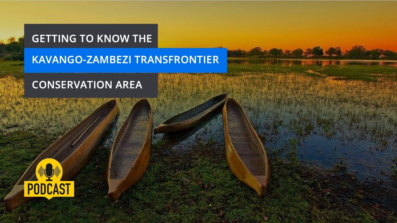 Getting to know the Kavango Zambezi Transfrontier Conservation Area |  Byolife Podcast