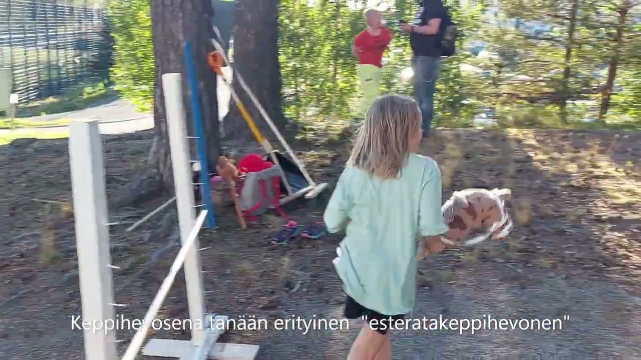 LYI 2022 Liikutaan Yhdess&auml; Iisalmi