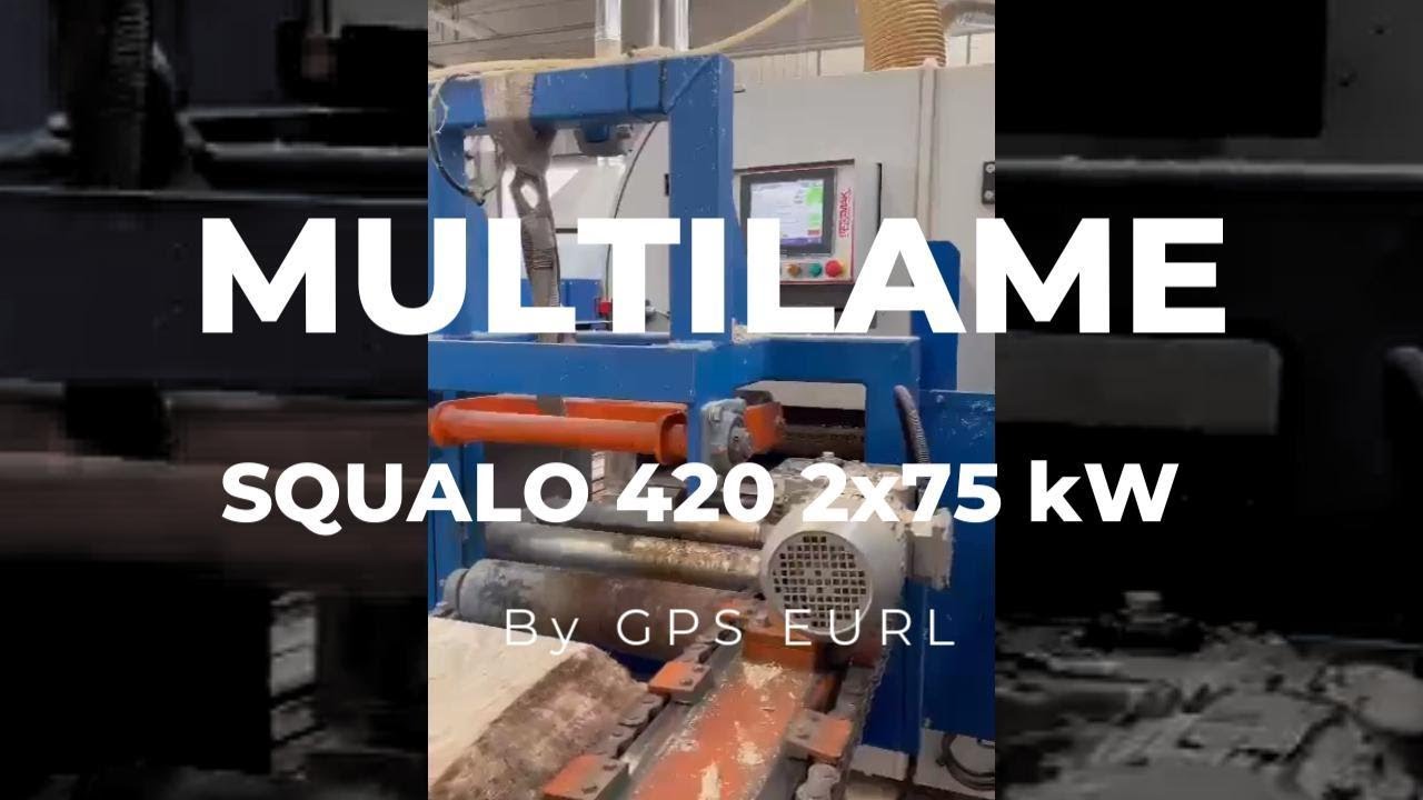 Scie Multilame Squalo 420 GPS EURL