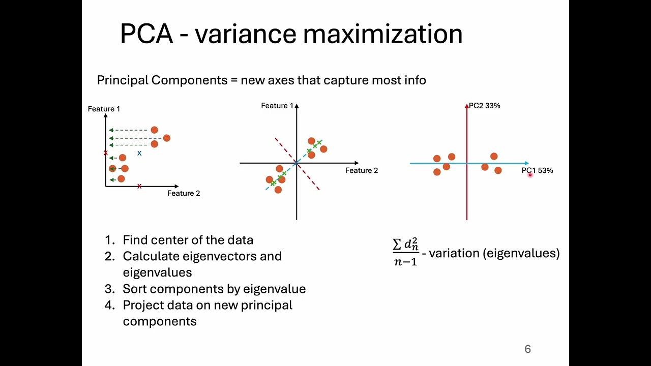 Lecture: Exploring Chemistry with PCA and PLS-DA (Danila Shiryaev)