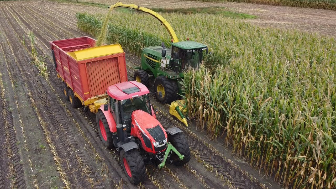 Grouve chopping corn