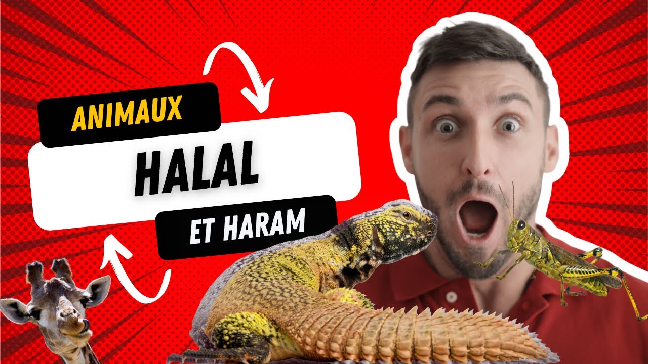 Animaux halal et haram en islam
