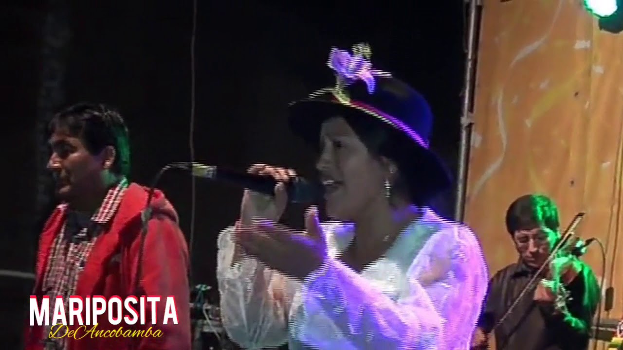 Mariposita de Ancobamba