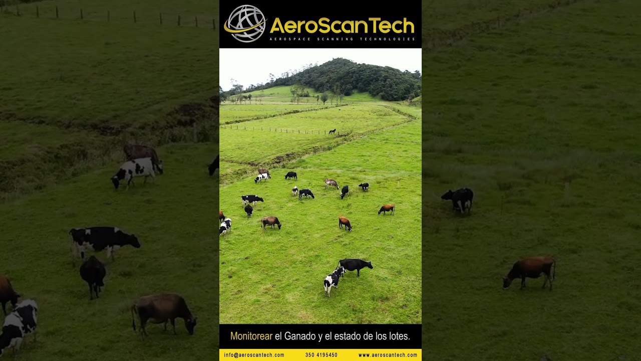 Trabajos de Ganadería con Drones