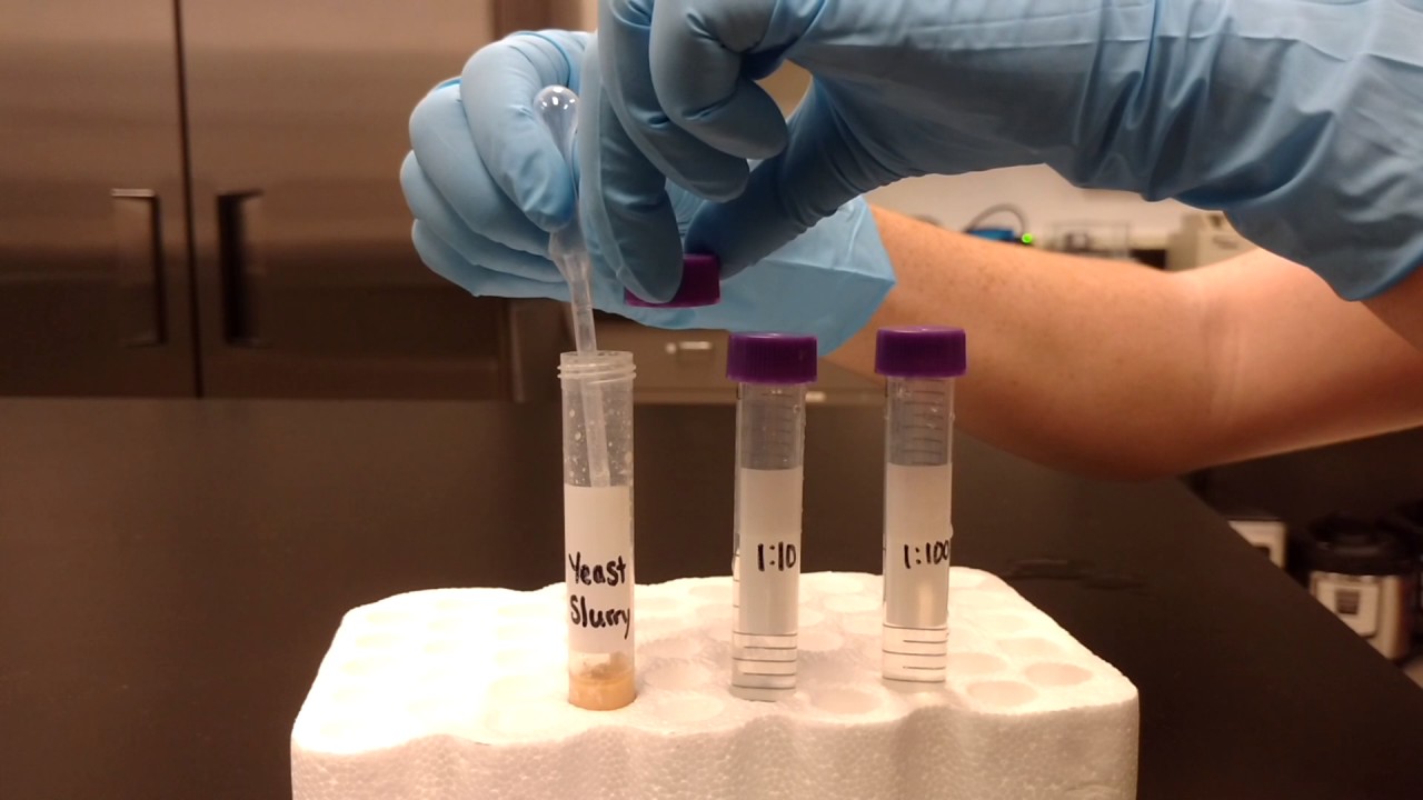 Serial Dilutions
