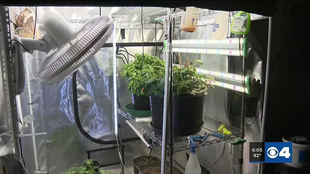 More than 1,600 applications filed for marijuana microbusiness lottery in Missouri