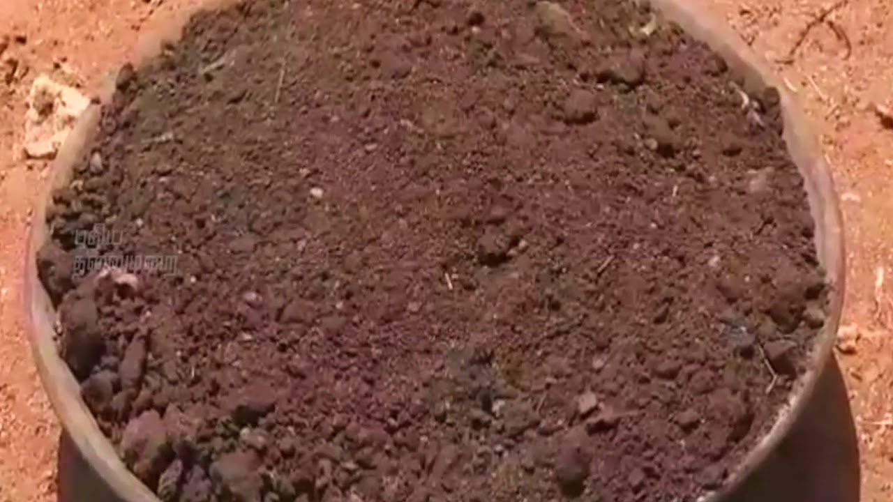 Water Conserving Rootzone Irrigation Technique, Innovation by Dr.KORLAPATI SATYAGOPAL, I.A.S