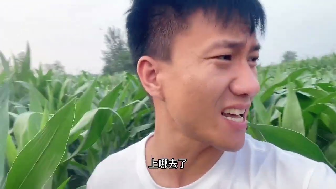 趁媳妇上厕所偷偷把她扔苞米地里，开车走了，结果摊上大事了