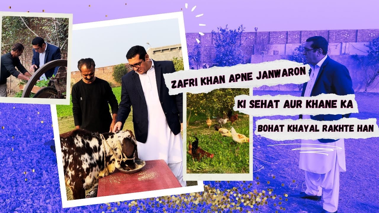 Menu Allah de ghar pura yakeen e sade jaanwar sade to motmin ne |