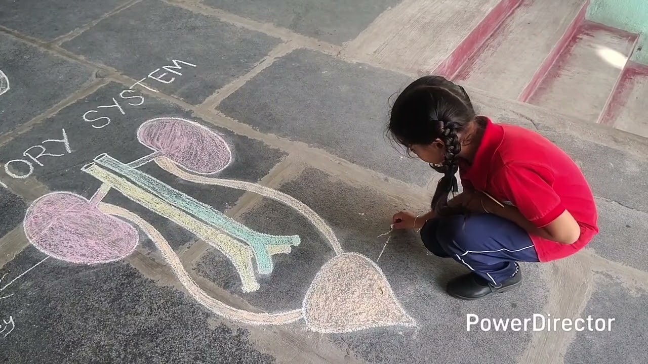 Our body (science activity)