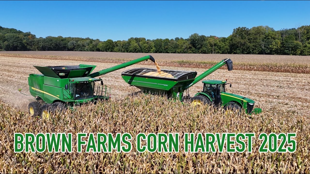 Brown Farms Corn Harvest 2025