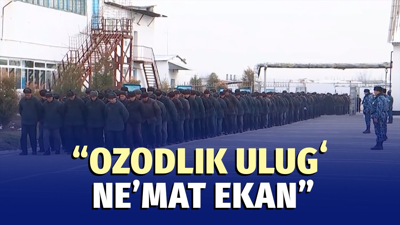 Hech narsa ozodlikka teng kelmaydi - afv etilganlar