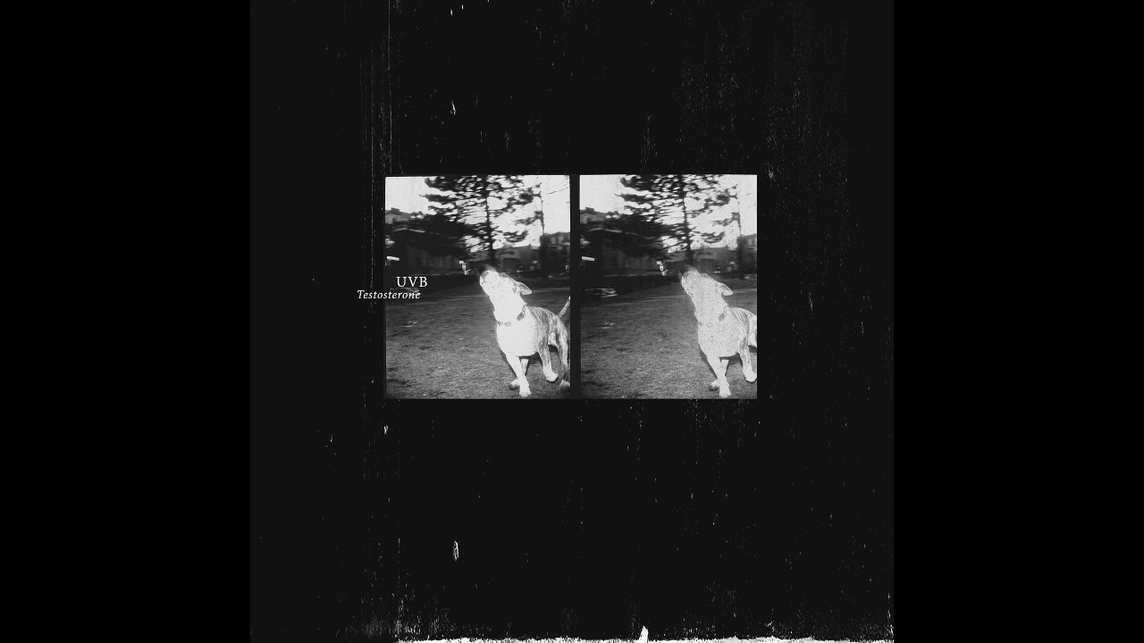 UVB - A Model Of Order