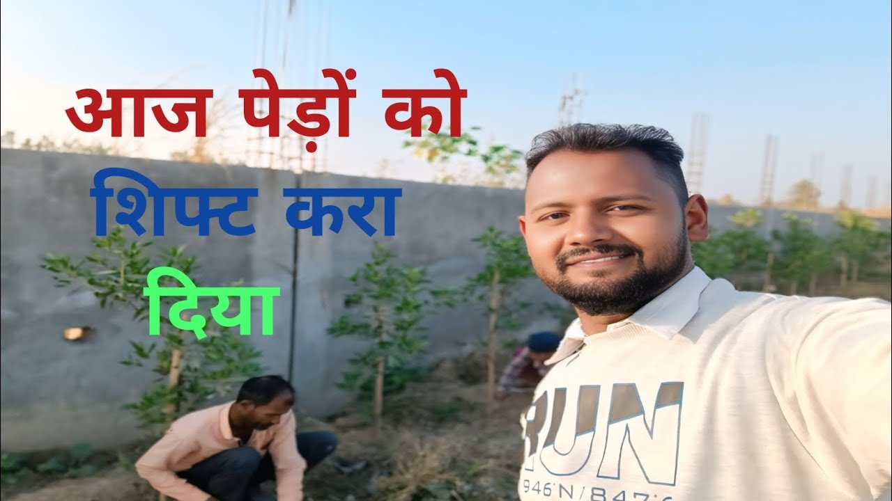 आज पेड़ों को शिफ्ट करा दिया ! Finally Aaj pedo ko shift Kara diya ! 🌲🌴