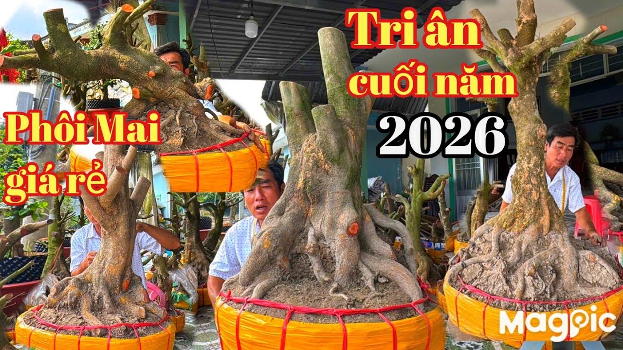 A Dũng 👉 0964009759 Trị ân khách hàng GL phôi giá rẻ cuối năm 2026 tại ĐT