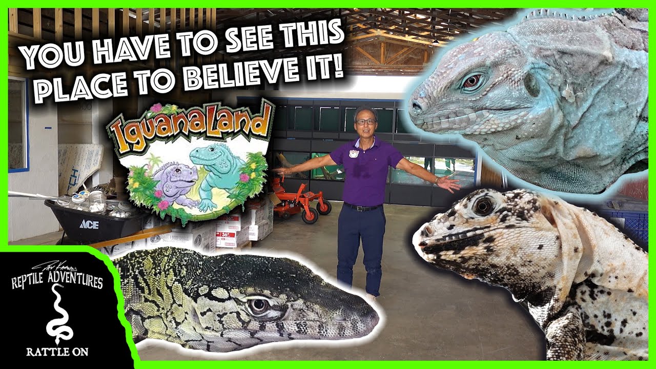 BUILDING THE WORLD'S BIGGEST REPTILE ZOO! (Ty Park's Iguanaland)
