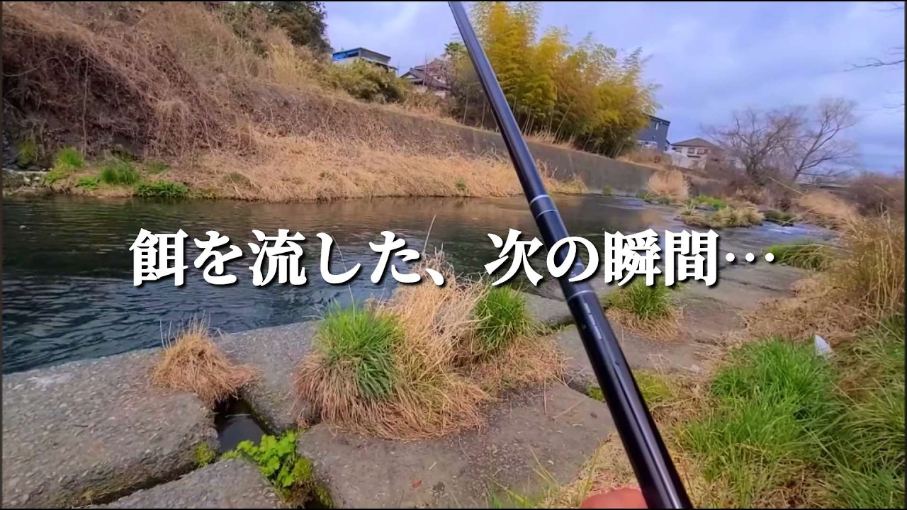 【デカい】大物が竿をぶん曲げる【渓流釣り】【餌釣り】