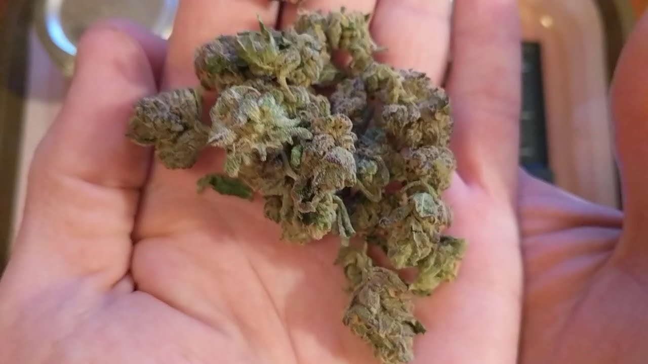Horchata 21.7% Harvest Avenue line