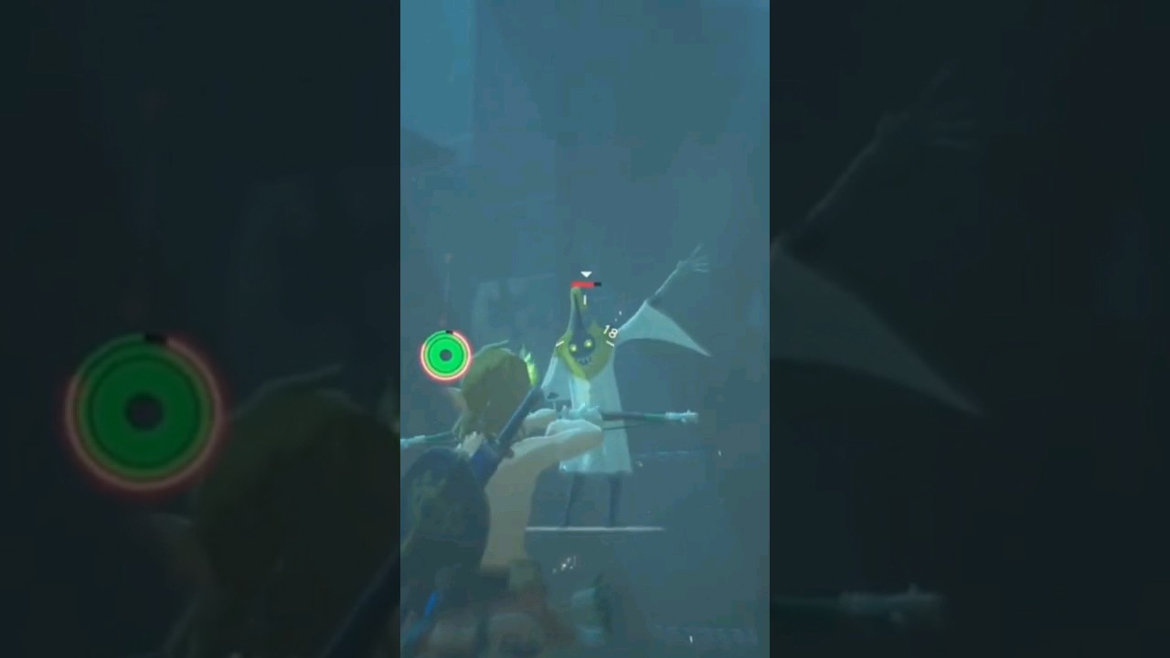 How to defeat a Wizrobe in 15 seconds #zelda #botw
