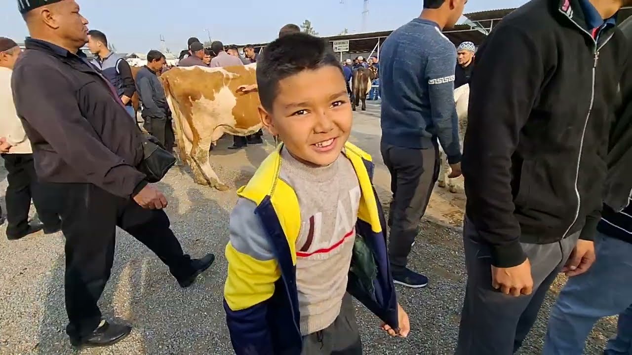 Samarqand savxoz sigir va bog'oz bozori 
